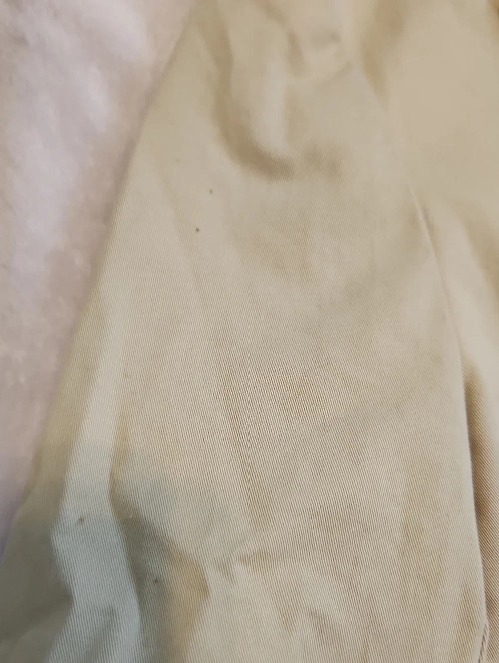 Polo Ralph Lauren small untreated